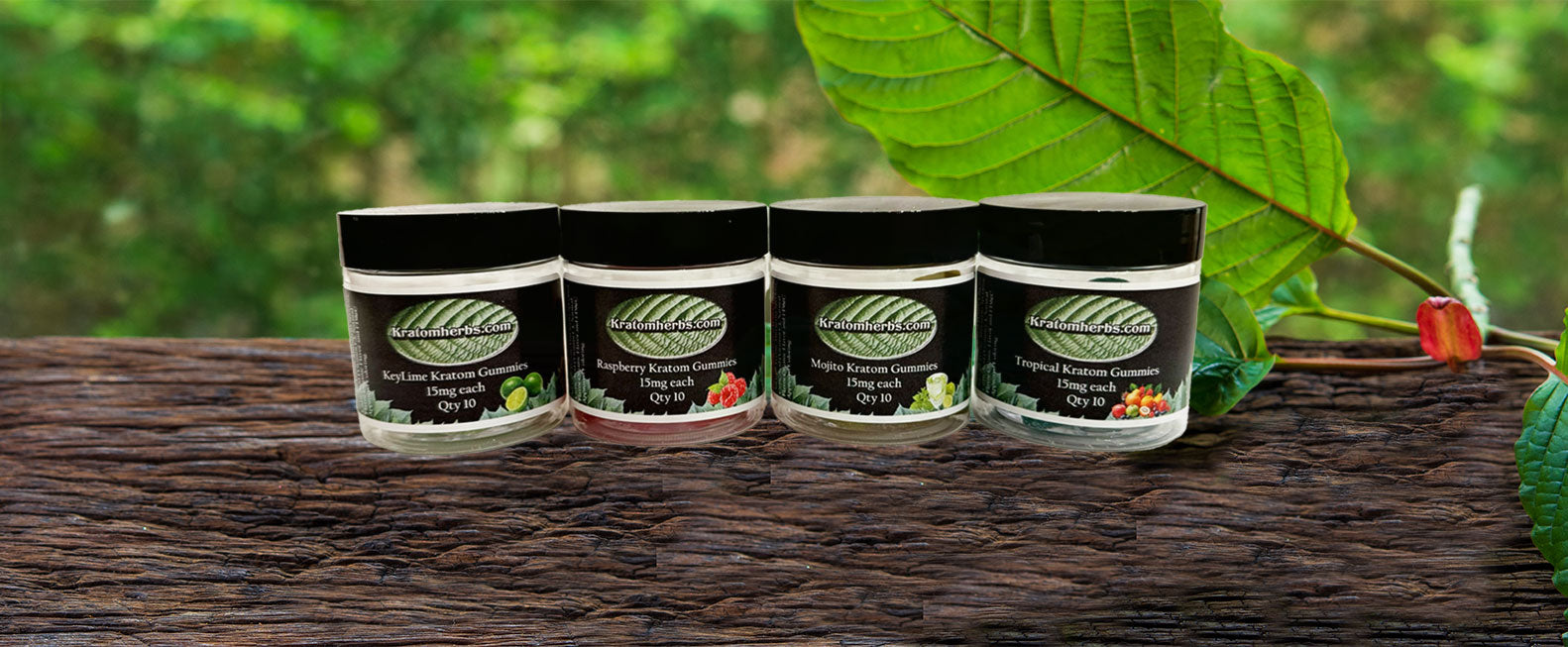 Kratom Gummies vs. Capsules: Which Is Right for You?